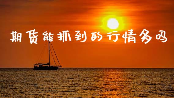 期货能抓到的行情多吗_https://www.qdlswl.com_期货_第1张