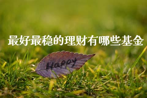 最好最稳的理财有哪些基金_https://www.qdlswl.com_基金_第1张