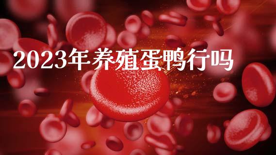 2023年养殖蛋鸭行吗_https://www.qdlswl.com_股指_第1张