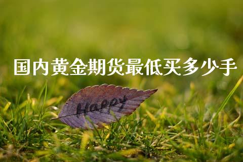 国内黄金期货最低买多少手_https://www.qdlswl.com_期货_第1张