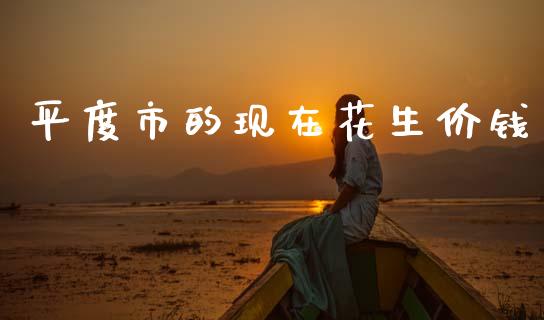平度市的现在花生价钱_https://www.qdlswl.com_期货_第1张