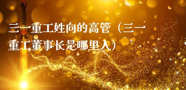 三一重工姓向的高管（三一重工董事长是哪里人）_https://www.qdlswl.com_内盘_第1张