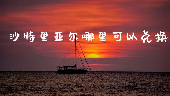 沙特里亚尔哪里可以兑换_https://www.qdlswl.com_理财_第1张