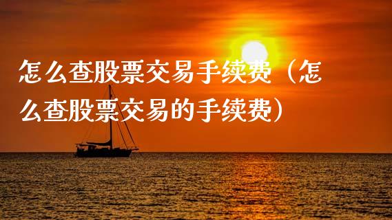 怎么查股票交易手续费（怎么查股票交易的手续费）_https://www.qdlswl.com_内盘_第1张