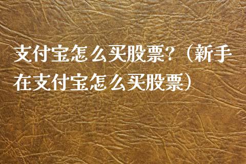 支付宝怎么买股票?（新手在支付宝怎么买股票）_https://www.qdlswl.com_外盘_第1张