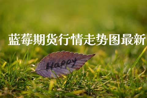 蓝莓期货行情走势图最新_https://www.qdlswl.com_股指_第1张