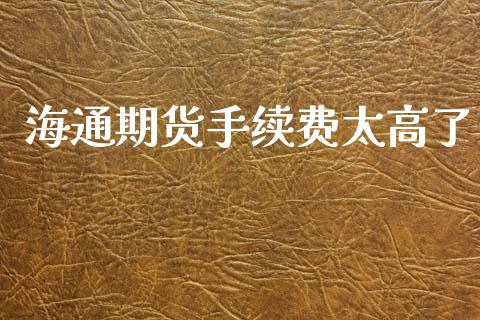 海通期货手续费太高了_https://www.qdlswl.com_股指_第1张