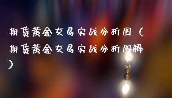 期货黄金交易实战分析图（期货黄金交易实战分析图解）_https://www.qdlswl.com_股指_第1张