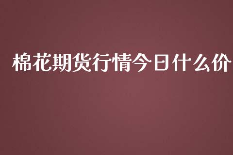 棉花期货行情今日什么价_https://www.qdlswl.com_期货_第1张