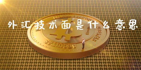外汇技术面是什么意思_https://www.qdlswl.com_内盘_第1张