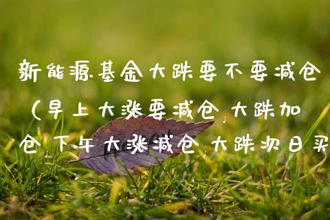 新能源基金大跌要不要减仓（早上大涨要减仓,大跌加仓,下午大涨减仓,大跌次日买）_https://www.qdlswl.com_理财_第1张