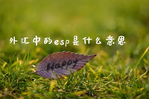 外汇中的esp是什么意思_https://www.qdlswl.com_内盘_第1张