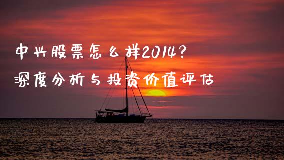 中兴股票怎么样2014？深度分析与投资价值评估_https://www.qdlswl.com_内盘_第1张