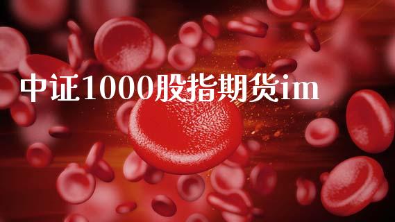 中证1000股指期货im_https://www.qdlswl.com_期货_第1张