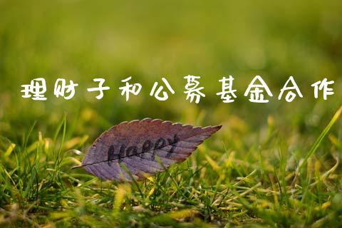 理财子和公募基金合作_https://www.qdlswl.com_理财_第1张