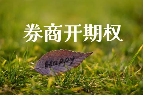 券商开期权_https://www.qdlswl.com_股票_第1张