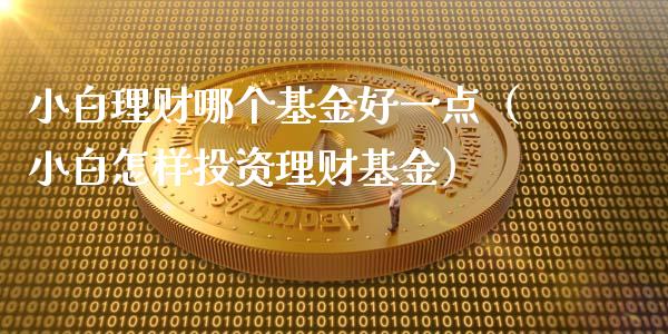 小白理财哪个基金好一点（小白怎样投资理财基金）_https://www.qdlswl.com_理财_第1张