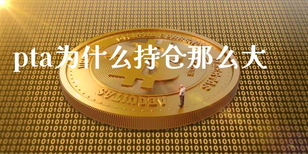 pta为什么持仓那么大_https://www.qdlswl.com_股票_第1张