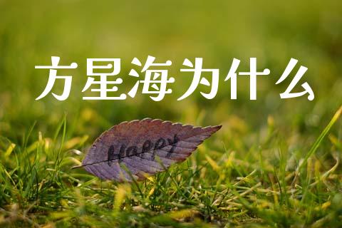 方星海为什么_https://www.qdlswl.com_基金_第1张
