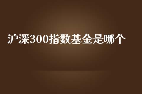 沪深300指数基金是哪个_https://www.qdlswl.com_股指_第1张