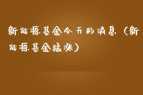 新能源基金今天的消息（新能源基金猛涨）_https://www.qdlswl.com_理财_第1张