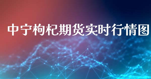 中宁枸杞期货实时行情图_https://www.qdlswl.com_股指_第1张