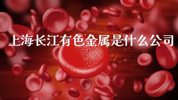 上海长江有色金属是什么公司_https://www.qdlswl.com_内盘_第1张