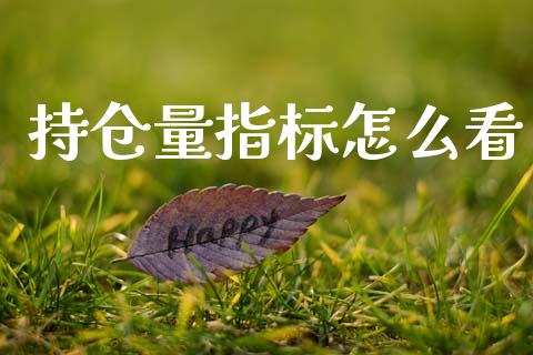持仓量指标怎么看_https://www.qdlswl.com_理财_第1张