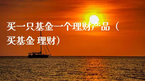 买一只基金一个理财产品（买基金 理财）_https://www.qdlswl.com_基金_第1张