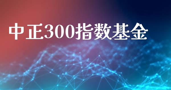 中正300指数基金_https://www.qdlswl.com_期货_第1张