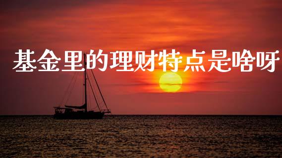 基金里的理财特点是啥呀_https://www.qdlswl.com_理财_第1张