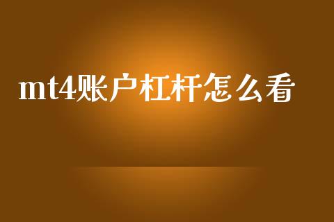 mt4账户杠杆怎么看_https://www.qdlswl.com_理财_第1张