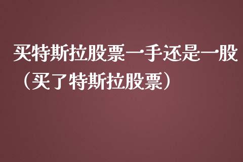 买特斯拉股票一手还是一股（买了特斯拉股票）_https://www.qdlswl.com_外盘_第1张