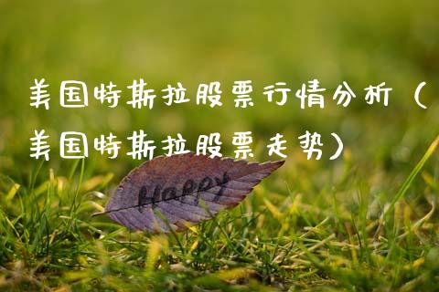 美国特斯拉股票行情分析（美国特斯拉股票走势）_https://www.qdlswl.com_股票_第1张