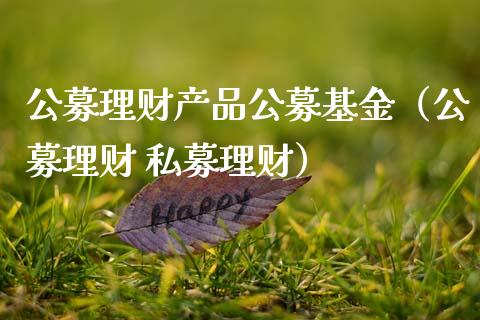 公募理财产品公募基金（公募理财 私募理财）_https://www.qdlswl.com_基金_第1张