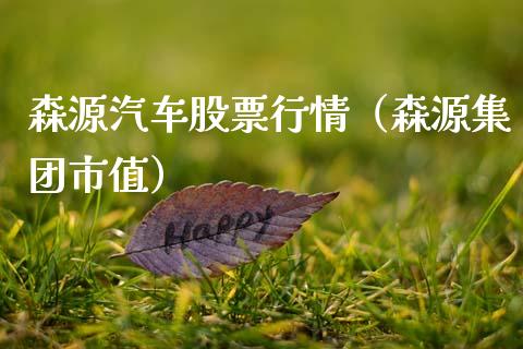 森源汽车股票行情（森源集团市值）_https://www.qdlswl.com_内盘_第1张