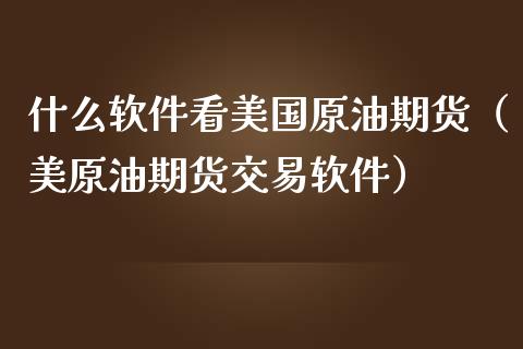 什么软件看美国原油期货（美原油期货交易软件）_https://www.qdlswl.com_期货_第1张
