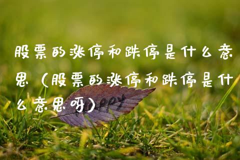 股票的涨停和跌停是什么意思（股票的涨停和跌停是什么意思呀）_https://www.qdlswl.com_内盘_第1张