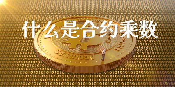 什么是合约乘数_股指_第1张_青岛财经网 什么是合约乘数_https://www.qdlswl.com_股指_第1张