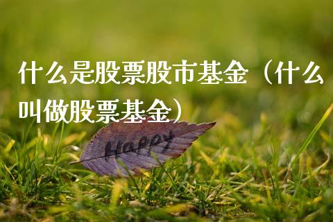 什么是股票股市基金（什么叫做股票基金）_https://www.qdlswl.com_基金_第1张