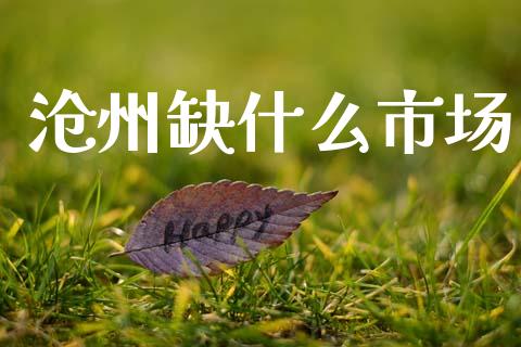沧州缺什么市场_https://www.qdlswl.com_期货_第1张