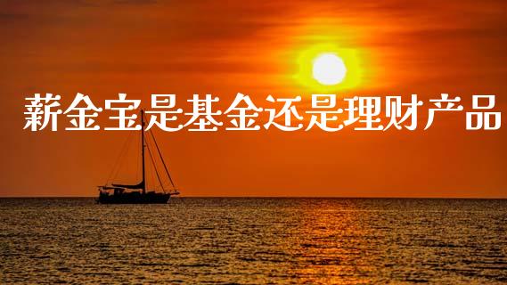 薪金宝是基金还是理财产品_https://www.qdlswl.com_基金_第1张