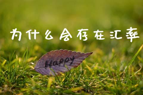 为什么会存在汇率_https://www.qdlswl.com_股指_第1张