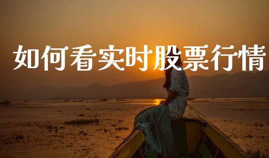 如何看实时股票行情_https://www.qdlswl.com_外盘_第1张