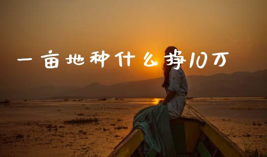 一亩地种什么挣10万_https://www.qdlswl.com_期货_第1张