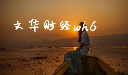 文华财经wh6_https://www.qdlswl.com_股指_第1张