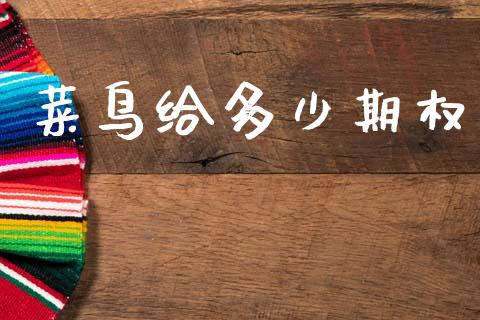 菜鸟给多少期权_https://www.qdlswl.com_股票_第1张