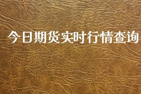 今日期货实时行情查询_https://www.qdlswl.com_期货_第1张