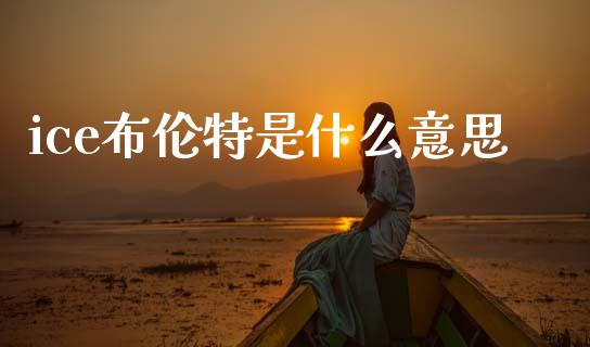 ice布伦特是什么意思_https://www.qdlswl.com_理财_第1张