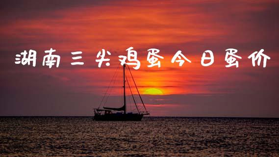 湖南三尖鸡蛋今日蛋价_https://www.qdlswl.com_股指_第1张